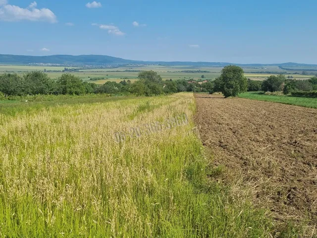 Eladó telek Tök 1650 nm