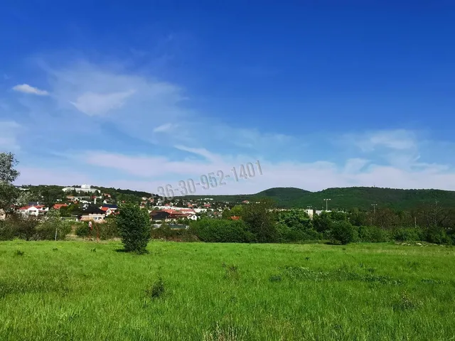 Eladó telek Budakeszi 1 nm