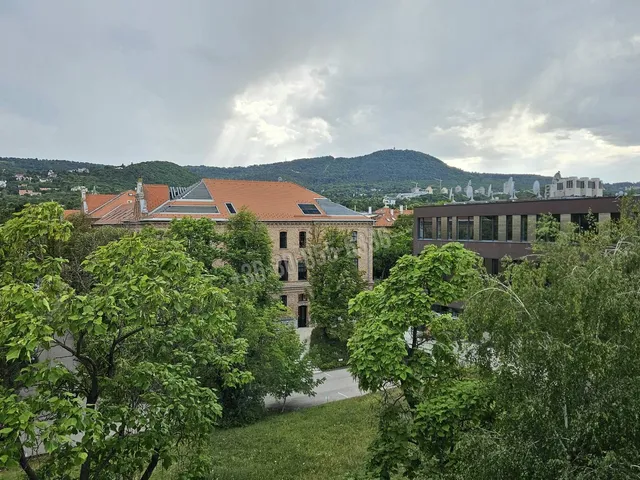 Kiadó lakás Budapest II. kerület, Pasarét, Pasaréti út 54 nm