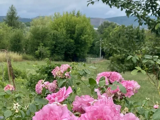 Eladó telek Törökbálint 2356 nm