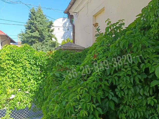 Eladó ház Balatonfüred, Belváros, Bajcsy-Zsilinszky Endre út 205 nm