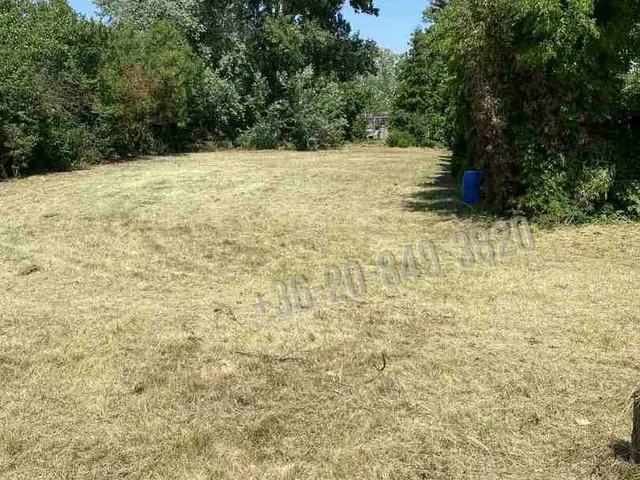 Eladó kereskedelmi és ipari ingatlan Dunaharaszti 1163 nm