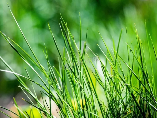 Eladó ház Abony 20 nm