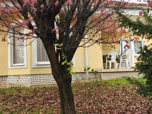 Eladó ház Tök 287 nm