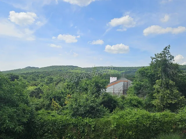 Eladó ház Budakeszi 150 nm