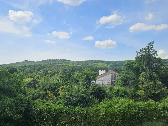 Eladó ház Budakeszi 150 nm