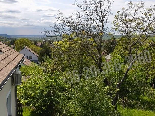 Eladó ház Budakeszi 170 nm