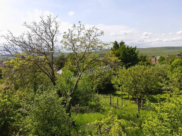 Eladó ház Budakeszi 170 nm