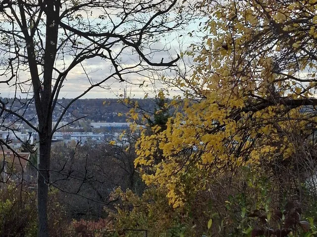 Eladó telek Budaörs, Naphegy utca 606 nm