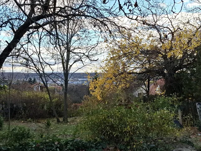 Eladó telek Budaörs, Naphegy utca 606 nm