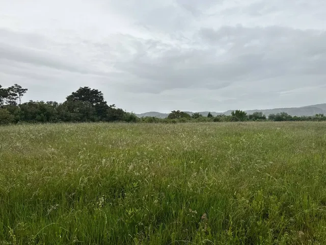 Eladó telek Törökbálint 1 nm