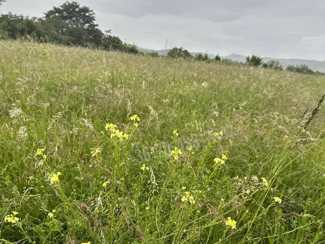Eladó telek Törökbálint 1425 nm
