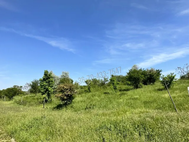 Eladó telek Törökbálint 1425 nm