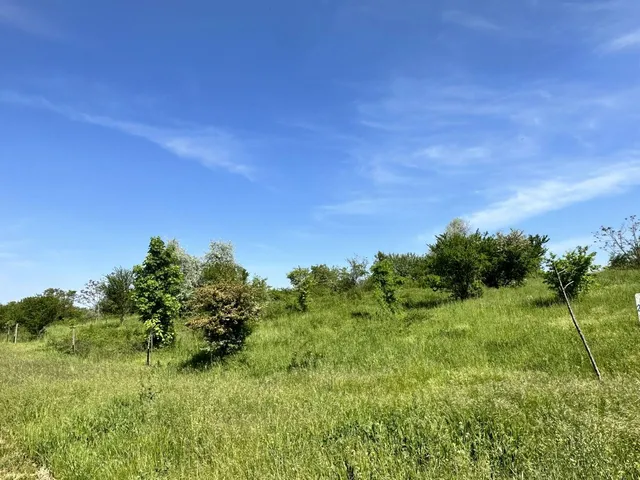 Eladó telek Törökbálint 1425 nm