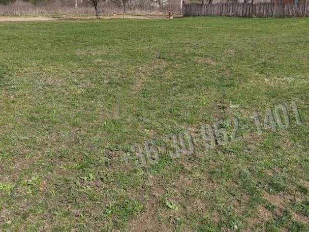 Eladó telek Budakeszi 1153 nm