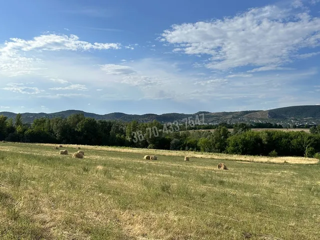 Eladó telek Budaörs 9050 nm