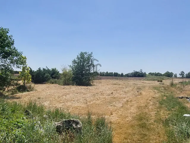 Eladó mezőgazdasági ingatlan Gárdony, Dinnyés 91388 nm