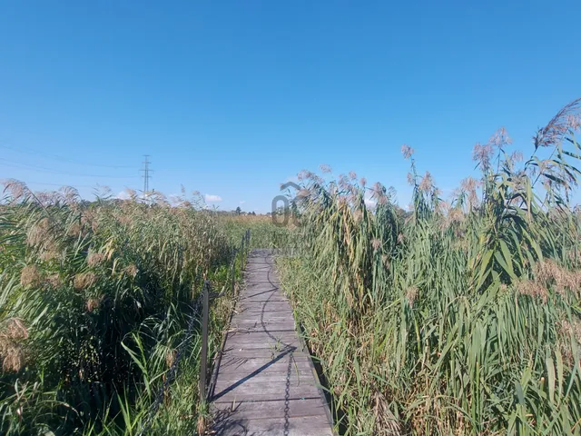 Eladó telek Majosháza 345 nm