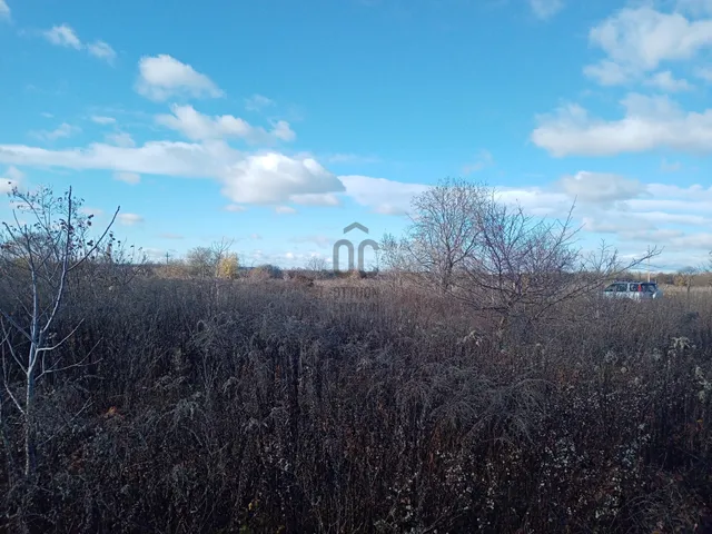 Eladó mezőgazdasági ingatlan Szigethalom 972 nm