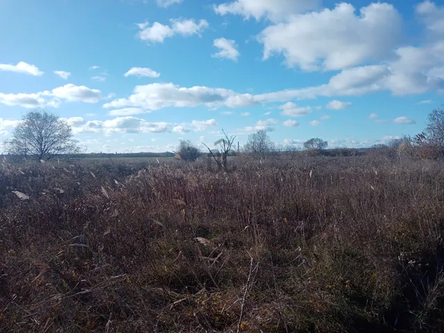 Eladó mezőgazdasági ingatlan Szigethalom 972 nm