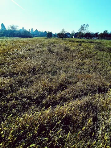 Eladó telek Tiszafüred 2423 nm