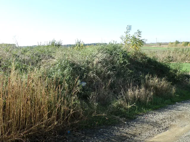 Eladó telek Egyek 713 nm