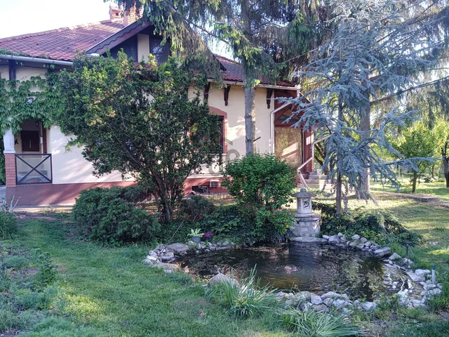 Eladó ház Tiszavalk 300 nm