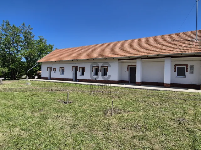 Eladó ház Egyek 1524 nm
