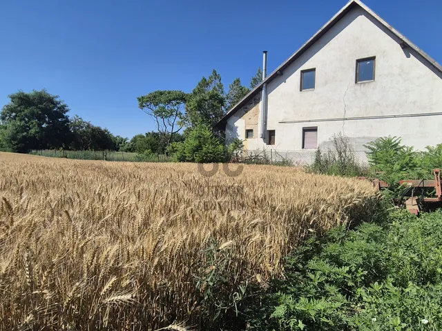 Eladó ház Tiszacsege 74 nm