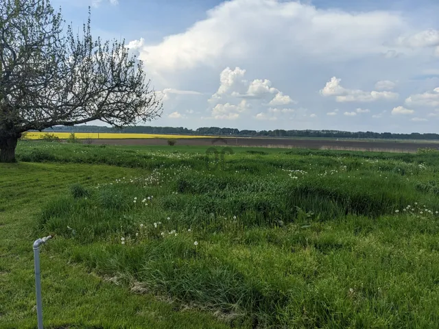 Eladó telek Tiszaszőlős 2480 nm