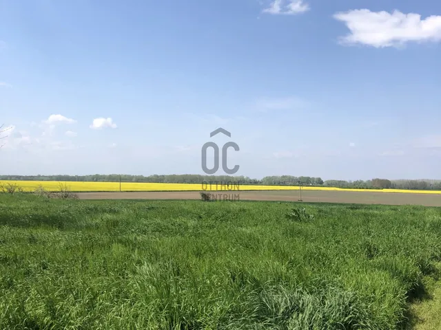 Eladó telek Tiszaszőlős 2480 nm