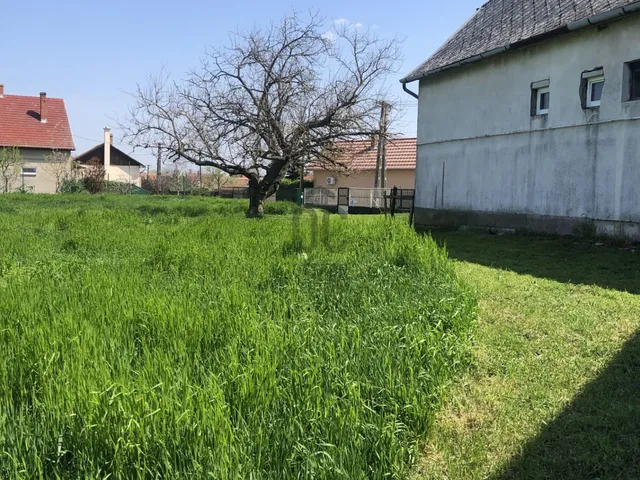 Eladó telek Tiszaszőlős 2480 nm