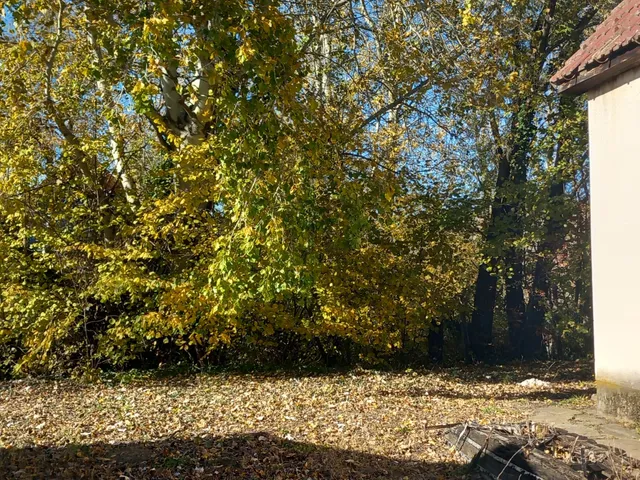 Eladó ház Tiszacsege 70 nm