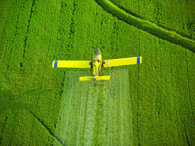 Eladó mezőgazdasági ingatlan Sarud 335975 nm