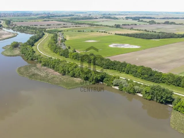 Eladó mezőgazdasági ingatlan Sarud 335975 nm