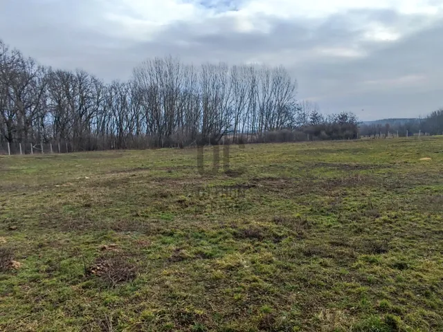 Eladó telek Tiszafüred 4862 nm