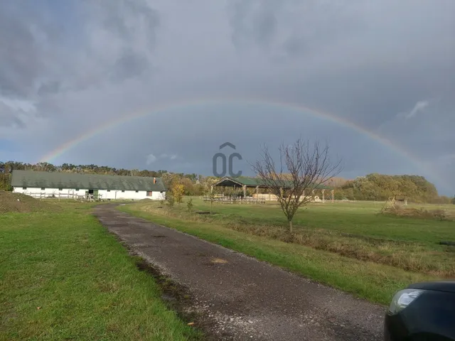 Eladó mezőgazdasági ingatlan Tiszacsege 80000 nm