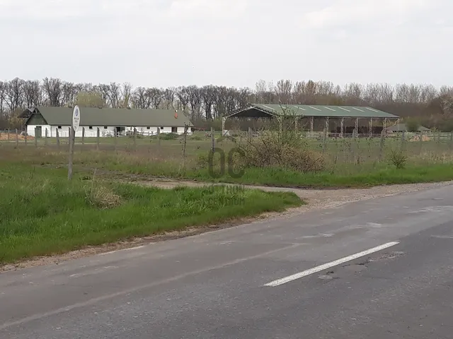 Eladó mezőgazdasági ingatlan Tiszacsege 80000 nm