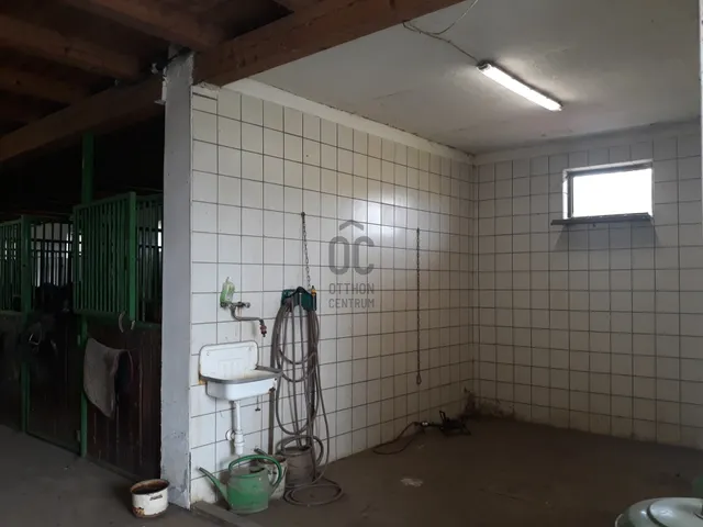 Eladó mezőgazdasági ingatlan Tiszacsege 80000 nm