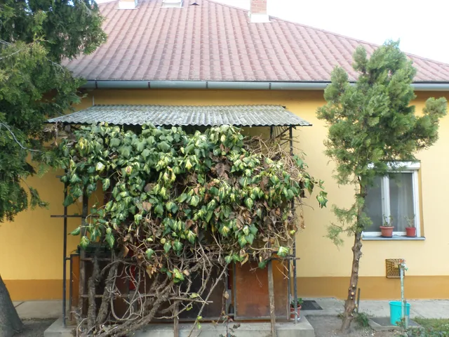 Eladó ház Kunmadaras 101 nm