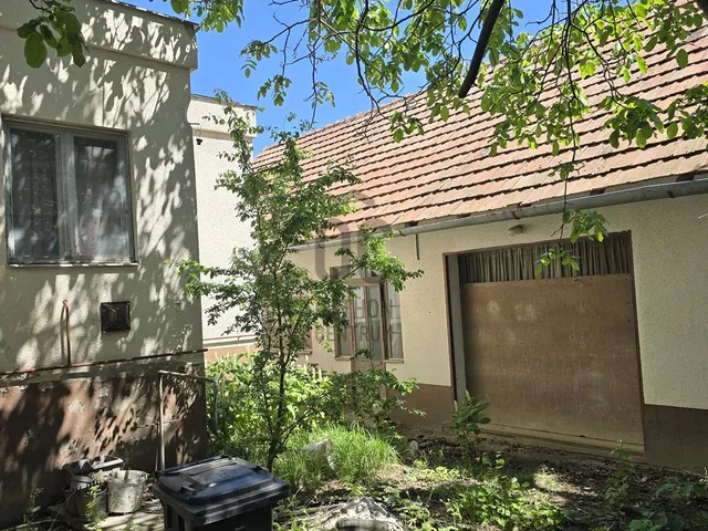 Eladó ház Tiszacsege 262 nm