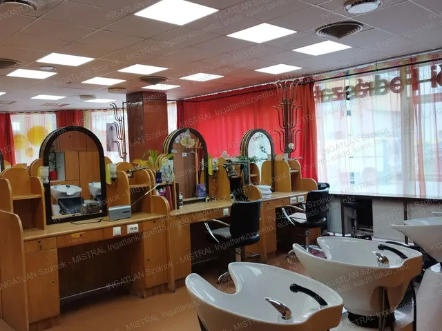 Eladó kereskedelmi és ipari ingatlan Szolnok, Belváros 181 nm