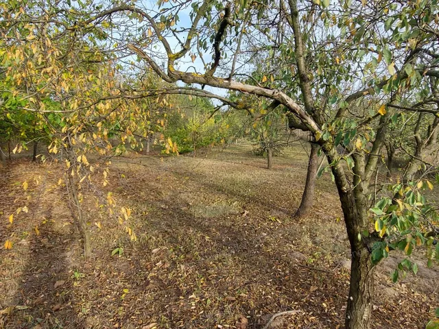 Eladó telek Szolnok, Szandaszőlős 1439 nm