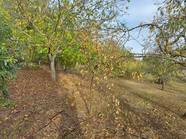 Eladó telek Szolnok, Szandaszőlős 1439 nm