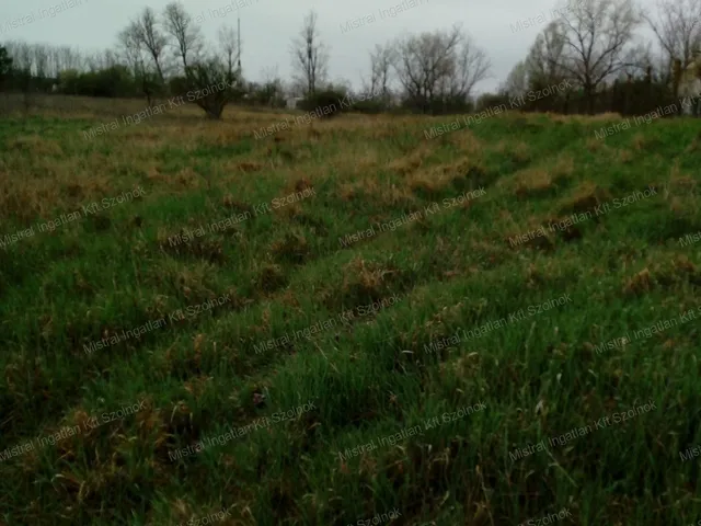 Eladó mezőgazdasági ingatlan Szolnok 3816 nm