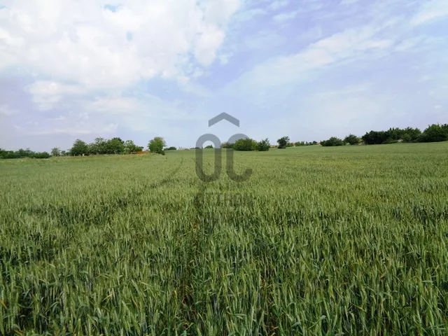 Eladó mezőgazdasági ingatlan Úrhida 10416 nm