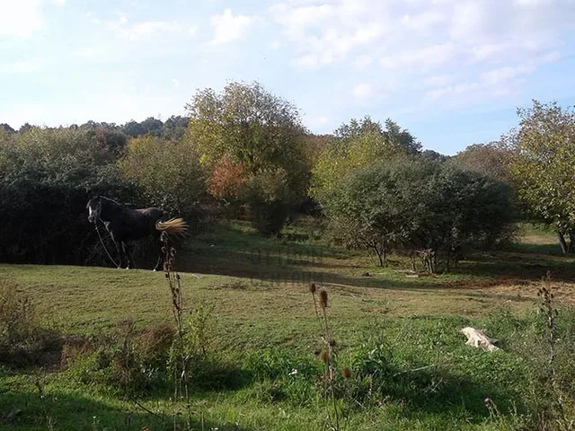 Eladó telek Csobánka 720 nm