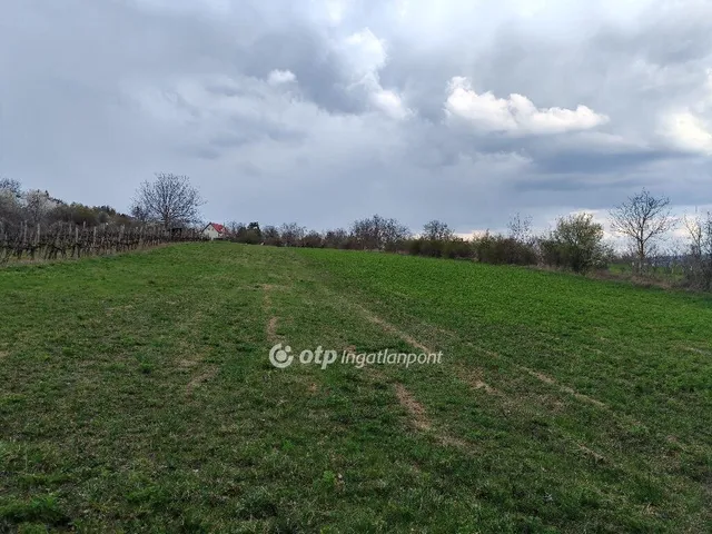 Eladó telek Tök 2223 nm