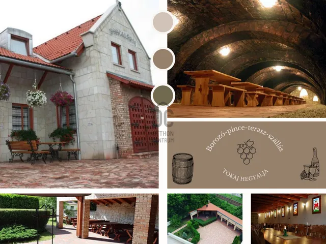 Eladó kereskedelmi és ipari ingatlan Tokaj 300 nm