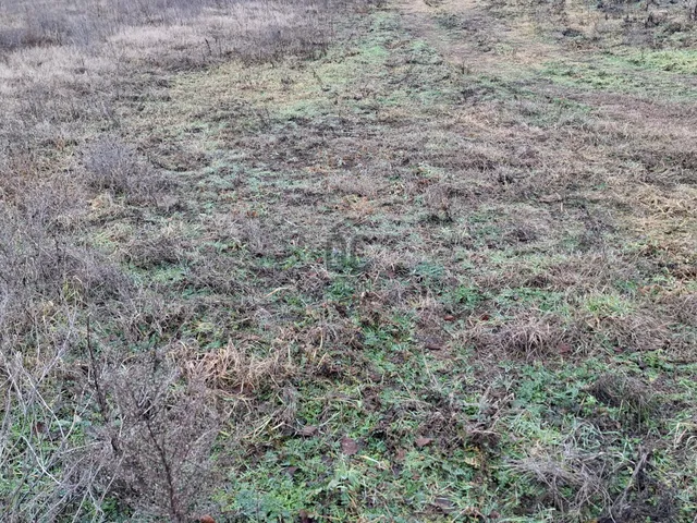 Eladó telek Hajdúsámson, Martinka 2068 nm